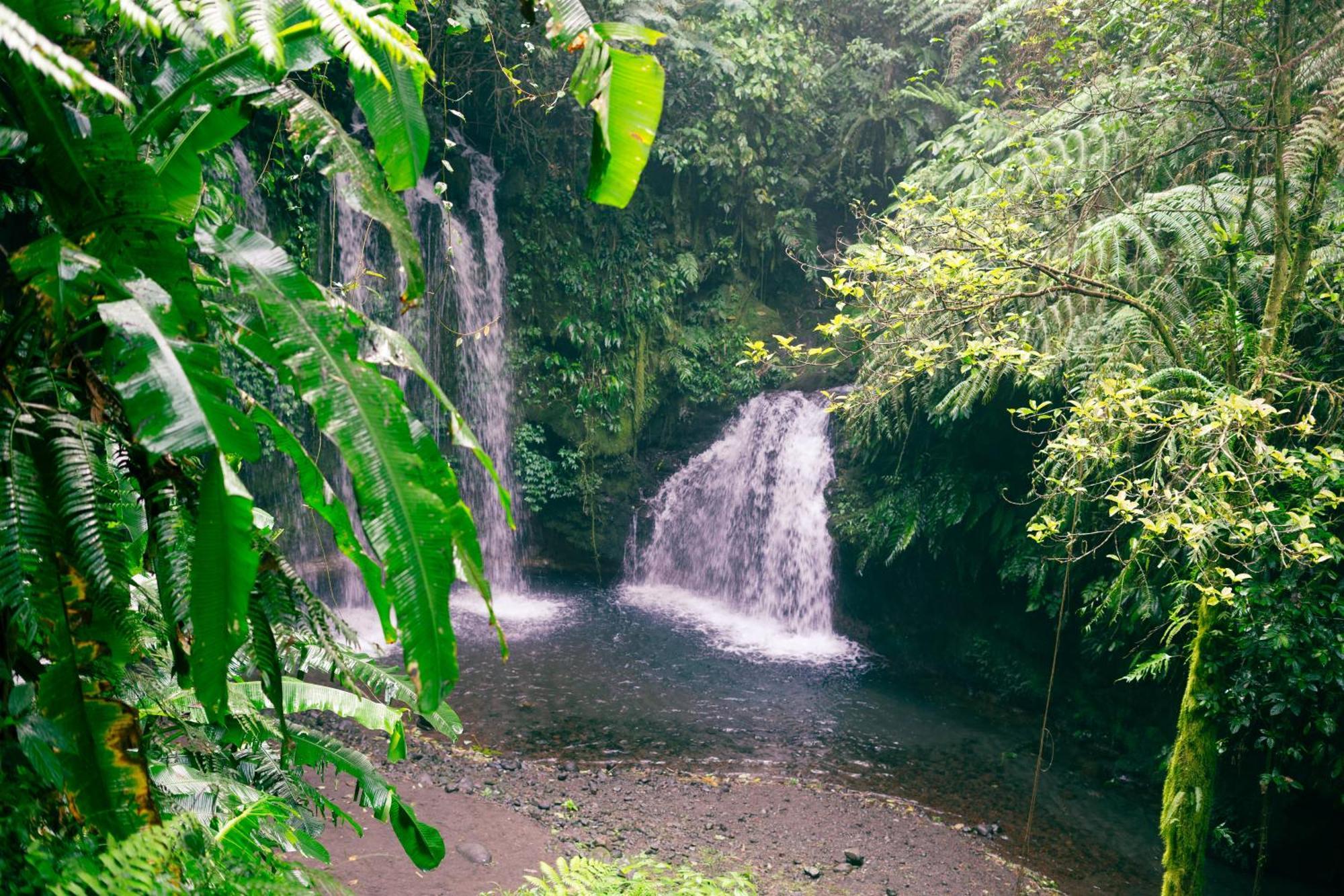Santya Loka Lodge & Twin Waterfall Jatiluwih Exterior photo