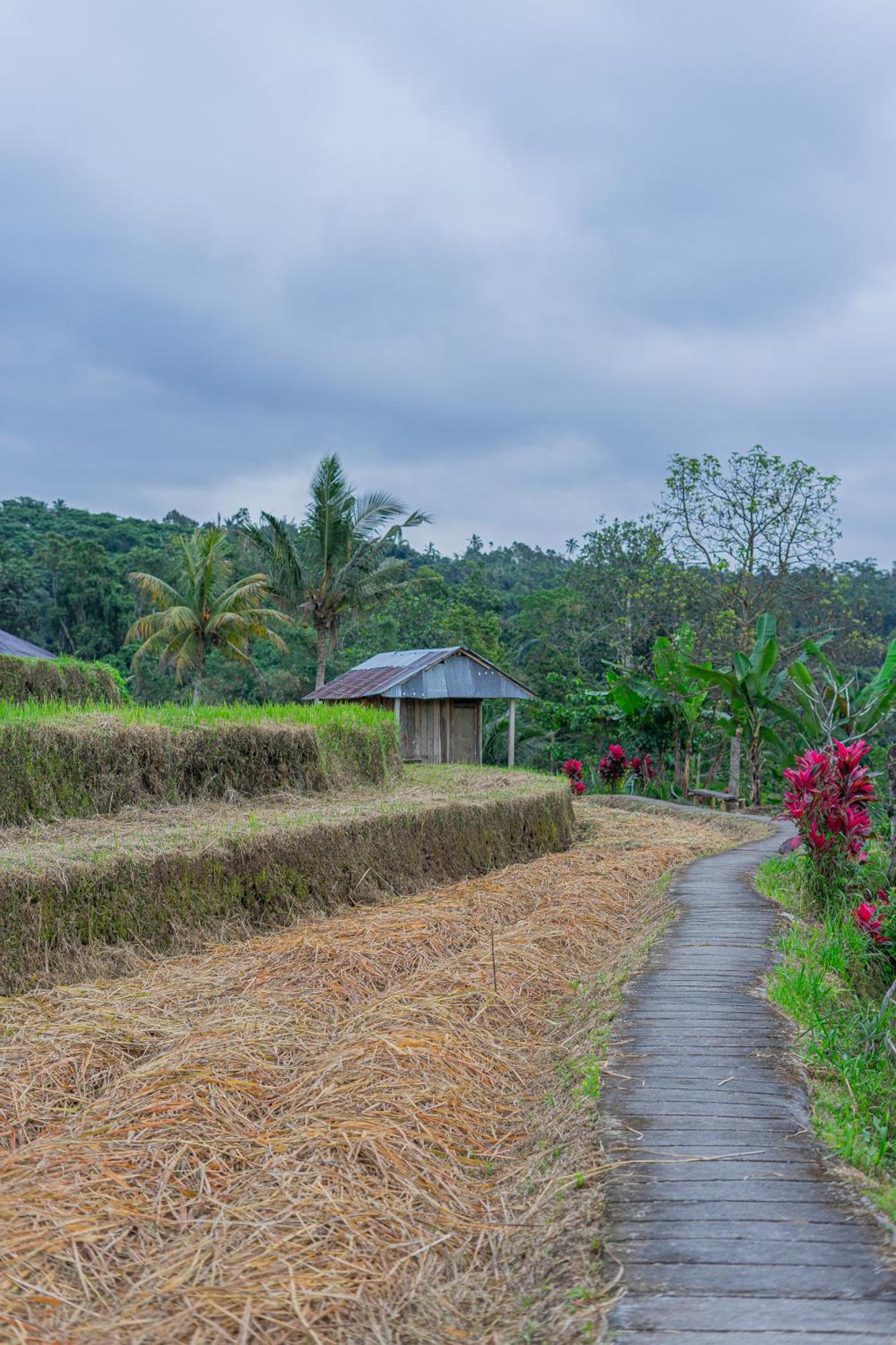 Santya Loka Lodge & Twin Waterfall Jatiluwih Exterior photo