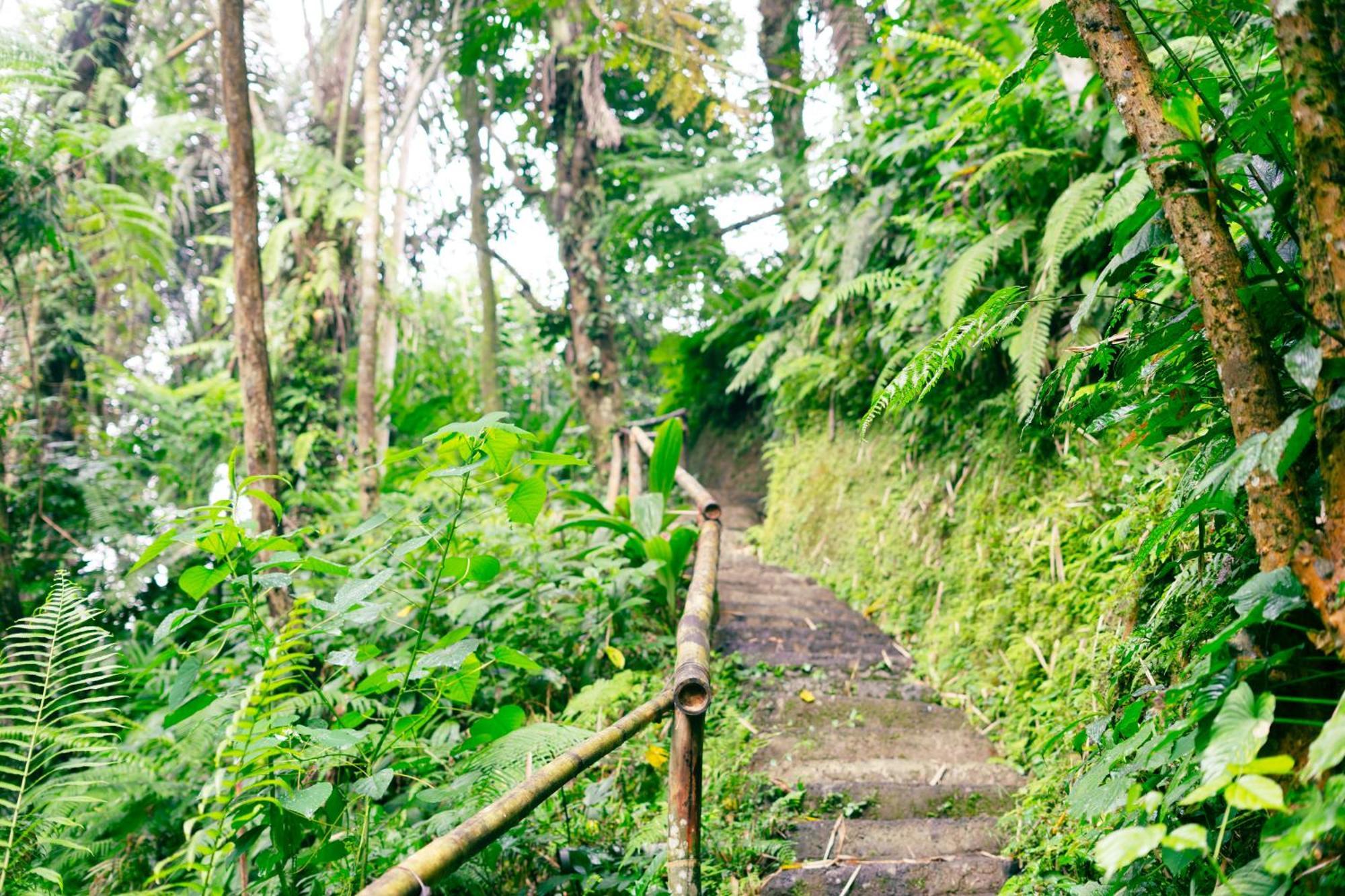 Santya Loka Lodge & Twin Waterfall Jatiluwih Exterior photo