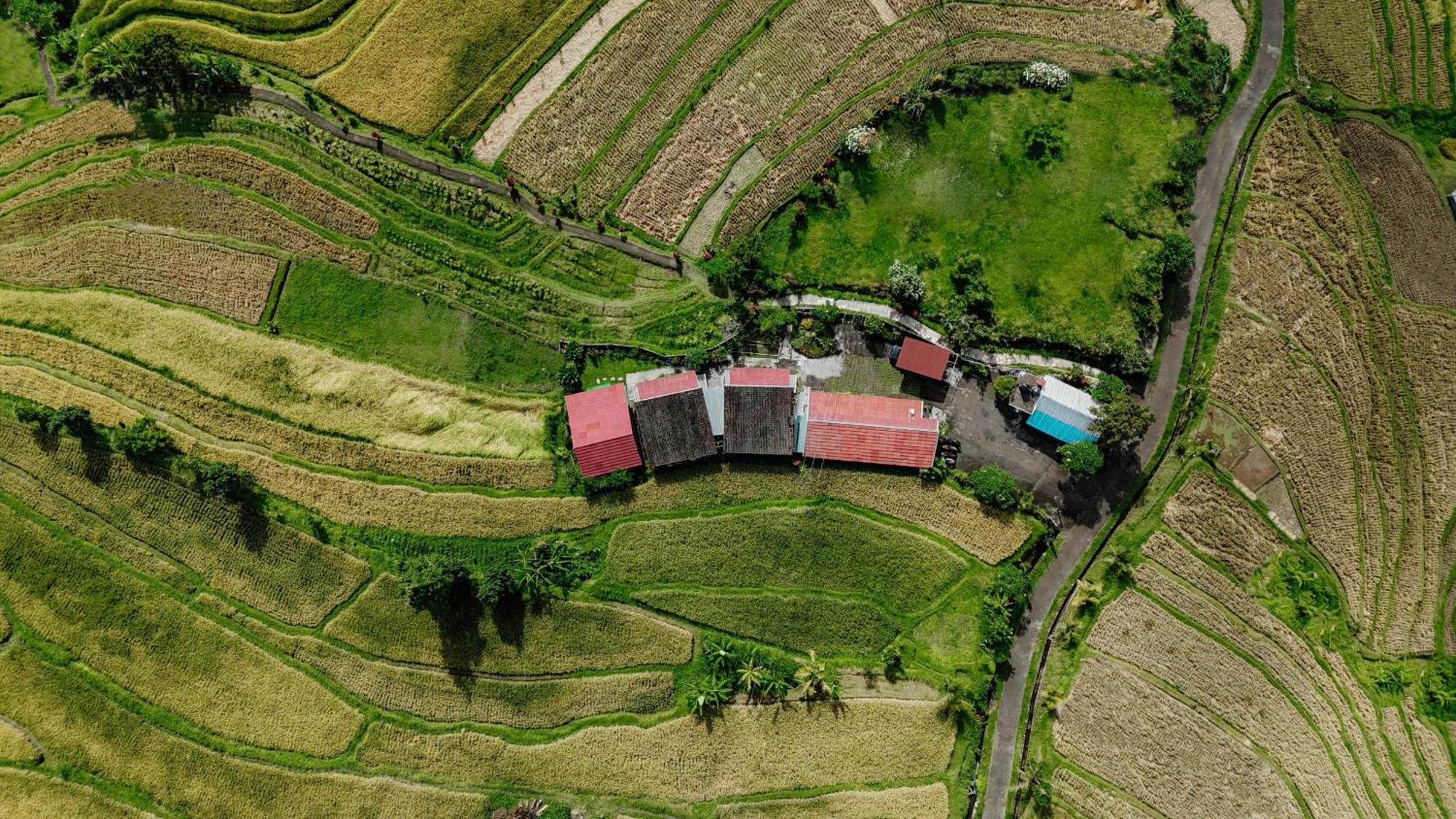Santya Loka Lodge & Twin Waterfall Jatiluwih Exterior photo